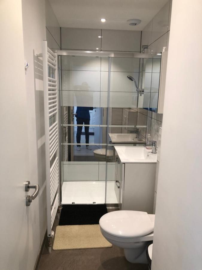 Niederschaeffolsheim Appartement Willa Chez Willi מראה חיצוני תמונה